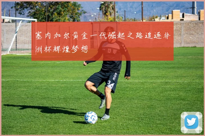 塞内加尔黄金一代崛起之路追逐非洲杯辉煌梦想