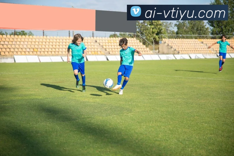 vtiyu平台生态图